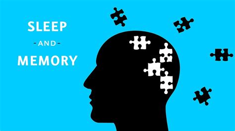 Exploring the Connection Between Sleep and Memory Consolidation