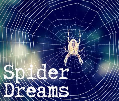 Exploring the Connection between Dreams and Arachnids