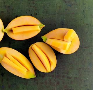 Exploring the Cultural Significance of Mangoes in Tropical Regions