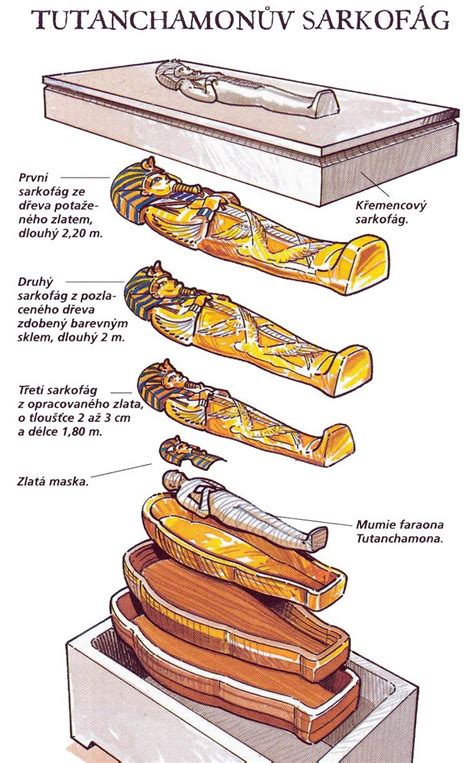 Exploring the Cultural and Historical Importance of Coffins