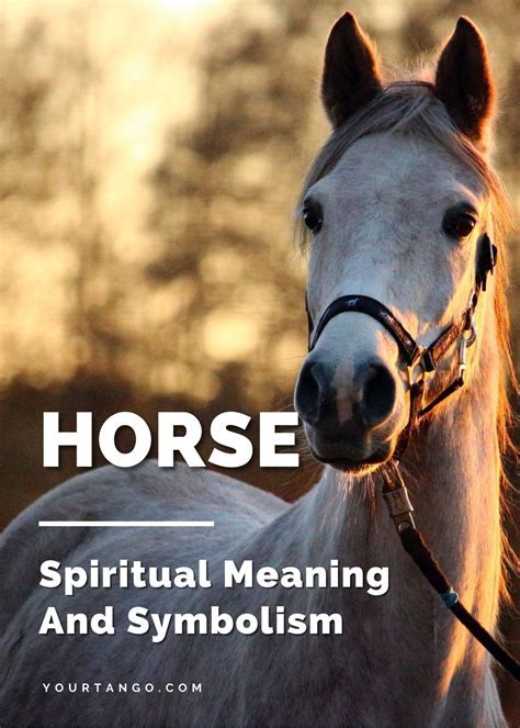 Exploring the Cultural and Historical Perspectives of Equine Symbolism: From Ancient Myths to Contemporary Interpretations