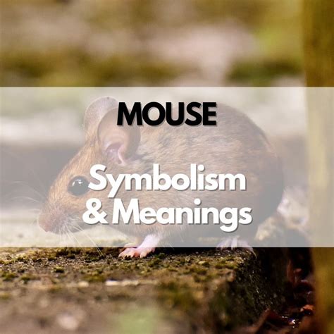 Exploring the Cultural and Historical Relevance of Bug and Mouse Symbolism