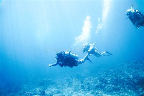 Exploring the Deep Blue: An Adventure beneath the Waves