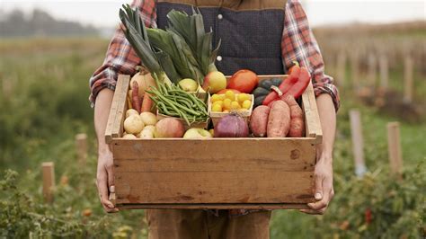 Exploring the Deeper Significance Behind the Act of Harvesting Foliage in One's Dreams