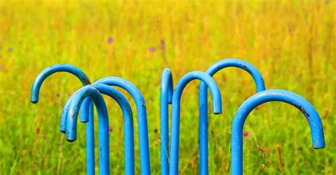 Exploring the Deeper Significance of Sacred Walking Sticks