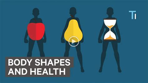 Exploring the Details of Body Shape and Health Routine