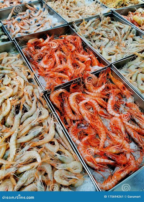 Exploring the Different Varieties of Prawns