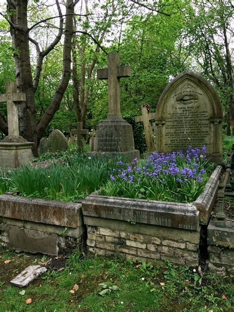 Exploring the Distinctive Characteristics of Slumbering Graveyards