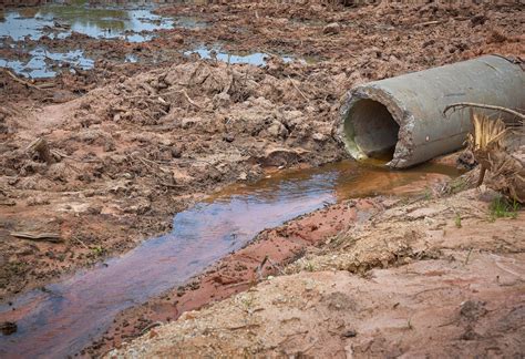 Exploring the Dread of Dirt and Contamination