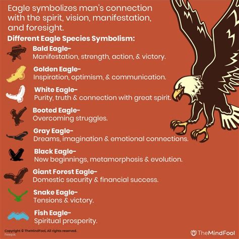 Exploring the Eagle's Symbolism in Various Cultures