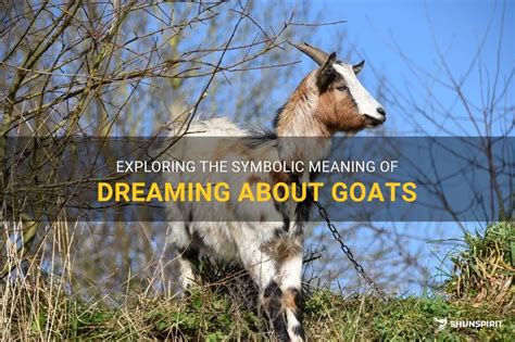 Exploring the Emotional Aspect of Dreaming about the Arrival of New Goats