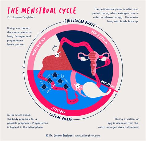 Exploring the Emotional Aspects of Menstrual Flow in Dreams