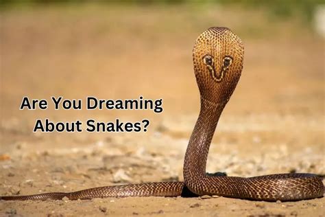 Exploring the Emotional Responses in Dreams of Rattlesnake Inflicting Harm on Others