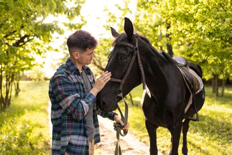 Exploring the Emotional States Associated with Submersion of Equine Creatures