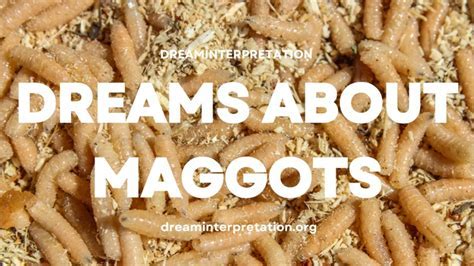 Exploring the Emotions Associated with Maggots in Water Dream Experiences