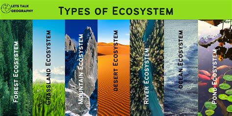 Exploring the Enchanting Variety of Earth's Ecosystems