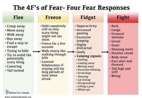 Exploring the Fear Factor: Emotional Response to the Tiger Bite