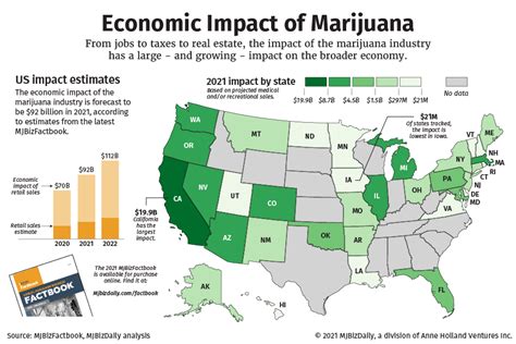 Exploring the Financial Value of MJ Bangs