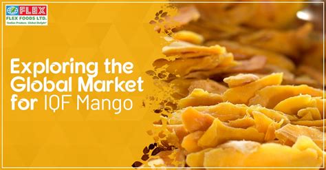 Exploring the Global Mango Industry: Tracking the Journey from Farm to Plate