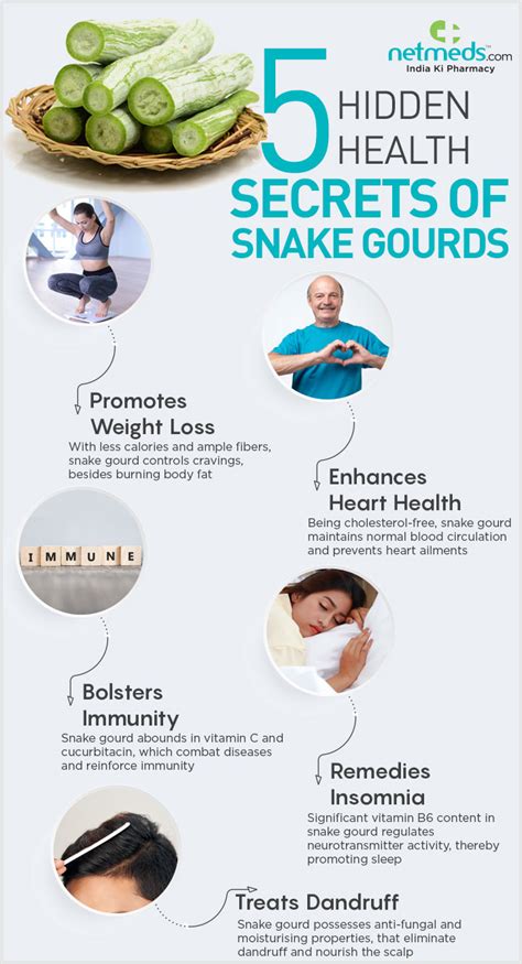 Exploring the Health Benefits: Snake Meat as a Natural Remedy