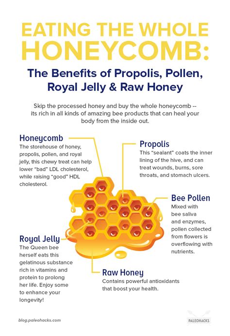 Exploring the Health Benefits of Honey and Honeycomb