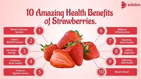 Exploring the Health Benefits of Pale Red Strawberries