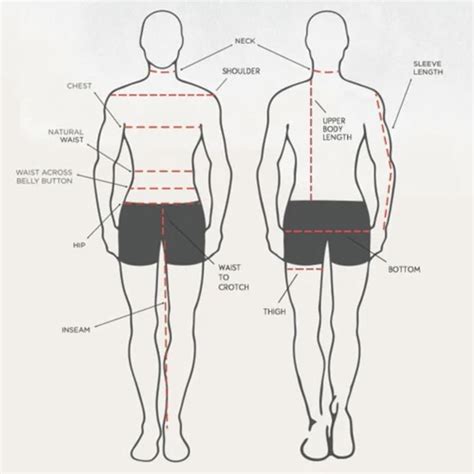 Exploring the Height and Body Measurements