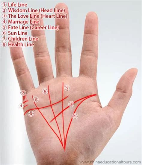 Exploring the Hidden Significance of Left Palm Patterns: Decoding the Enigmatic Markings in the Realm of Dreams