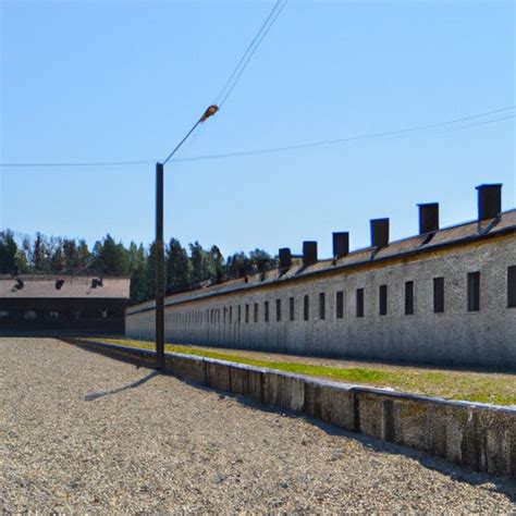 Exploring the Historical Context of Dreams Set in Concentration Camps