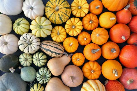 Exploring the Hue and Texture of Pumpkins