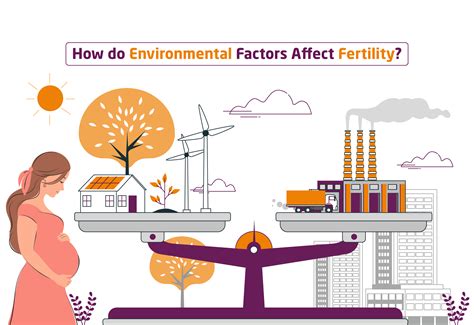 Exploring the Impact of Environmental Factors on the Onset of Menstruation