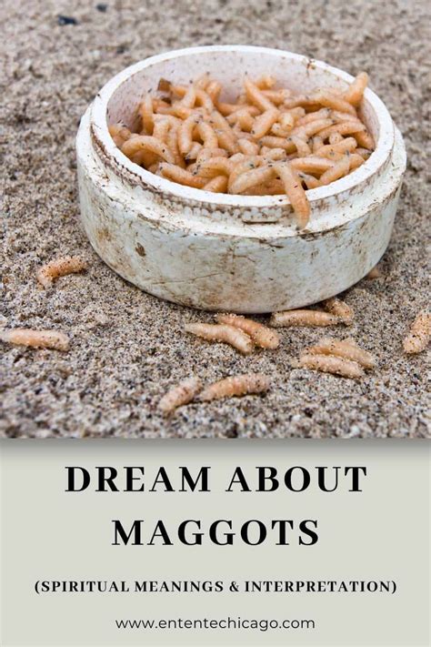 Exploring the Impact of External Factors on Dreams With Maggot Imagery