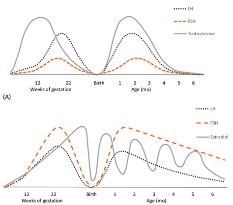 Exploring the Impact of Individual Experiences on Dreams of Embracing a Male Infant Throughout Pregnancy