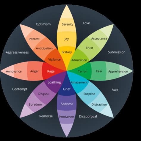 Exploring the Impact of Unjust Allegation Reveries on our Emotional Well-being