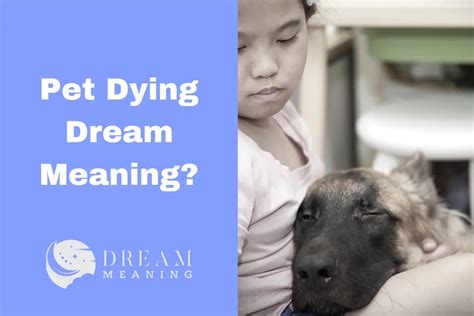 Exploring the Importance of Pets in Dream Interpretation