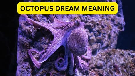 Exploring the Link Between Octopus and Fish in Dream Analysis