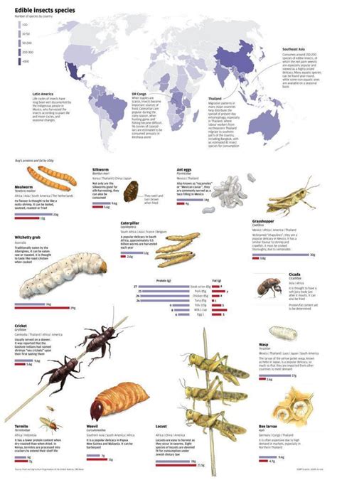 Exploring the Link Between Tiny Insects, Nourishment, and Personal Development