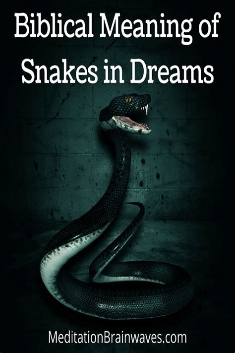 Exploring the Link between Serpent Dreams and Personal Transformation