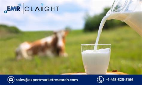 Exploring the Lucrative Milk Market