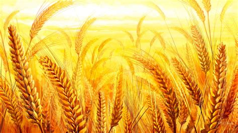 Exploring the Meaning Behind the Reaping of Golden Grains in Dreamscapes