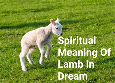 Exploring the Meaning of Birthing a Lamb in Dreams