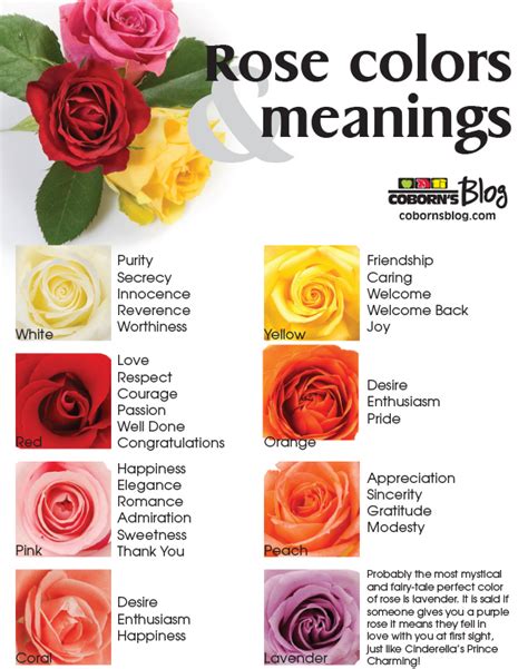 Exploring the Meaning of Roses in Diverse Cultures