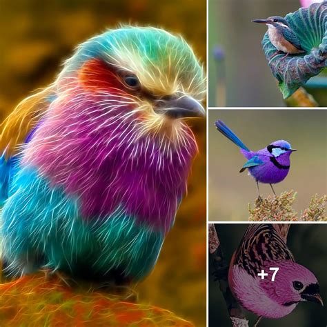 Exploring the Meaning of Vibrant Hues in Visionary Avians