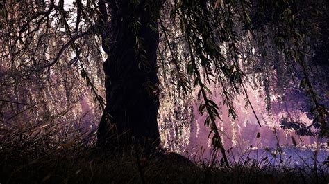 Exploring the Nature of Nocturnal Weeping