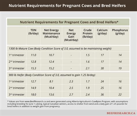 Exploring the Nutritional and Antioxidant Potential of Bovine Urine