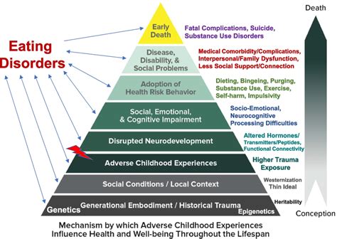 Exploring the Origins: Childhood Experiences and Traumas that Influence Dream Content