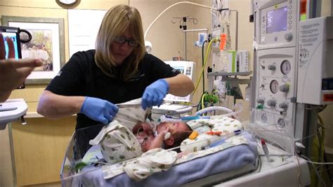 Exploring the Physical Causes Behind Dreams of Preterm Birth