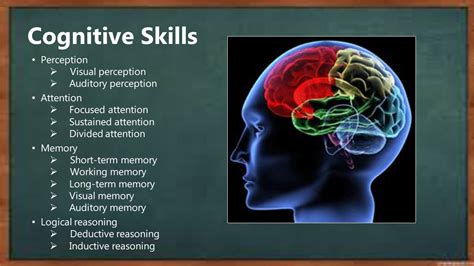 Exploring the Physical and Cognitive Abilities