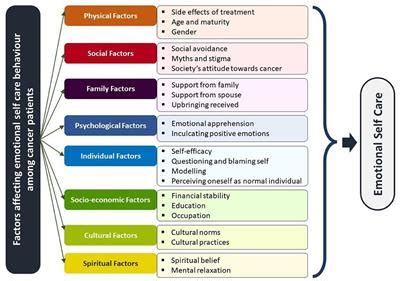 Exploring the Physical and Emotional Factors Influencing Blood-Related Dreams