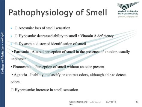 Exploring the Physiology behind Unpleasant Breath Odor